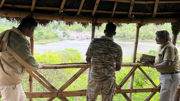 Elephant Census: ಗಡಿಜಿಲ್ಲೆಯಲ್ಲಿ ಮೂರನೇ ದಿನದ 