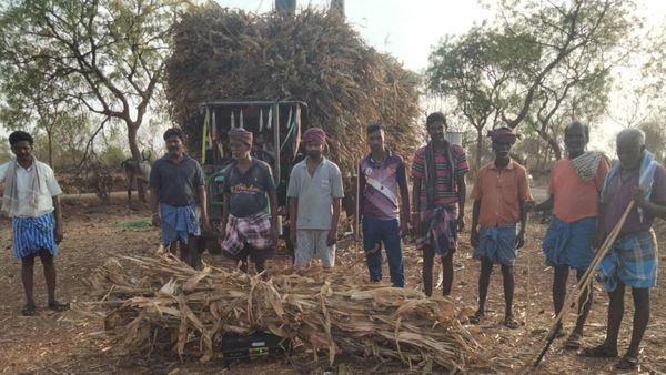 ಈ ಜಿಲ್ಲೆಯಲ್ಲಿ ರಾಜ್ಯದಲ್ಲೇ ಅತಿ ಹೆಚ್ಚು ಗೋಶಾಲೆಗಳ ಆರಂಭ-ಎಲ್ಲೆಲ್ಲಿ ಎಷ್ಟು?-ಮಾಹಿತಿ, ವಿವರ