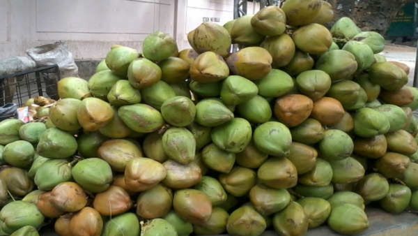 Juice Price: ಬೆಂಗಳೂರಿನಲ್ಲಿ ಜ್ಯೂಸ್‌ ರೇಟ್‌ ಕೇಳಿದ್ರೆ ಶಾಕ್; ಎಳನೀರು ಬಲು ದುಬಾರಿ