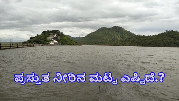 Vani Vilasa Sagara Dam: ವಾಣಿ ವಿಲಾಸ ಸಾಗರ ಜಲಾಶಯದಲ್ಲಿ ಪ್ರಸ್ತುತ ನೀರಿನ ಮಟ್ಟ ಎಷ್ಟಿದೆ?-ಅಂಕಿಅಂಶಗಳ ವಿವರ ಇಲ್ಲಿದೆ