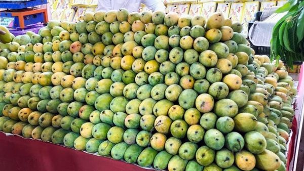 ಧಾರವಾಡ: ಮಾವು ಬೆಳೆಗಾರ ರೈತರಿಗೆ ಮಾಹಿತಿ