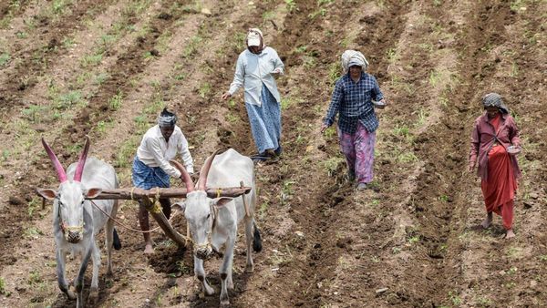 ಧಾರವಾಡ: ಈ ವರ್ಷ 2.70 ಲಕ್ಷ ಹೆ. ಭೂಮಿಯಲ್ಲಿ ಬಿತ್ತನೆ ಗುರಿ: ಬೀಜ-ರಸಗೊಬ್ಬರ ಮಾಹಿತಿ