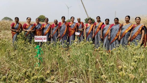 ಜಮೀನು ಇಲ್ಲದಿದ್ದರೂ 77 ತಳಿ ರಾಗಿ ಬೆಳೆದ ಮಹಿಳೆಯರು: ಸಾಮೂಹಿಕ ಕೃಷಿಯ 'ಯಶೋಗಾಥೆ'