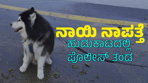 Missing Dog: ಕಾಣೆಯಾಗಿರುವ ನ್ಯಾಯಾಧಿಶರ ನಾಯಿಗಾಗಿ ಪೊಲೀಸರ ಹುಡುಕಾಟ: ಹಲವರ ಬಂಧನ
