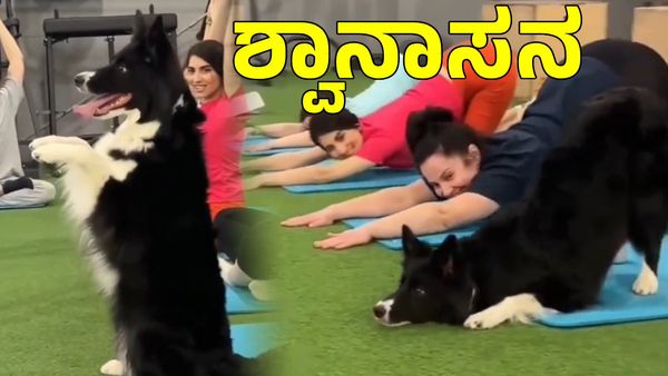 Viral Video: ಮನುಷ್ಯರೊಂದಿಗೆ ಯೋಗ ಮಾಡಿದ ನಾಯಿ: ಇಲ್ಲಿದೆ ನೋಡಿ ವಿಡಿಯೋ