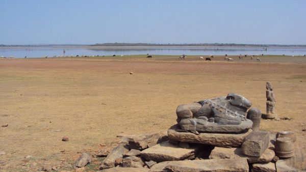 Kabini: ಕಬಿನಿ ಹಿನ್ನೀರಿನಲ್ಲಿ ಪಳೆಯುಳಿಕೆ ಪತ್ತೆ: ಜನ ಭಯಪಡುತ್ತಿರುವುದೇಕೆ?