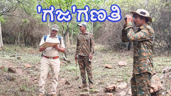 Elephant Census: ಗಡಿಜಿಲ್ಲೆಯಲ್ಲಿ ಎರಡನೇ ದಿನ 