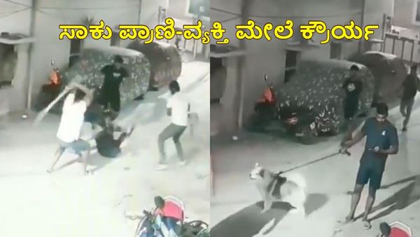 Viral Video: ಸಾಕು ನಾಯಿ ಹಸ್ಕಿ-ಮಾಲೀಕನ ಮೇಲೆ ಹಿಂಸಾತ್ಮಕ ಕ್ರೌರ್ಯ: ವಿಡಿಯೋ ಹಂಚಿಕೊಂಡ ಪೊಲೀಸರು