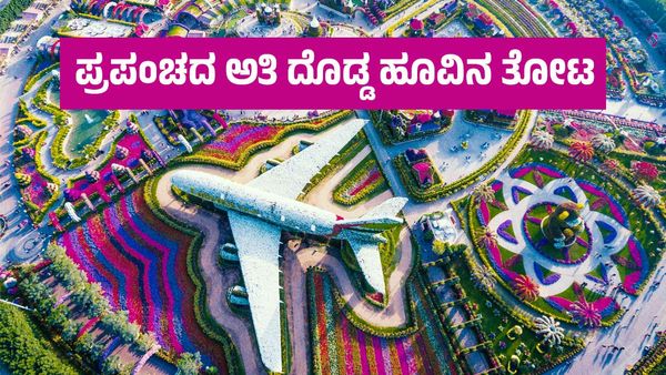 Bengaluru to Dubai Miracle Garden Trip: ಪ್ರಪಂಚದ ಅತಿ ದೊಡ್ಡ ಹೂವಿನ ತೋಟ: ನೀವು ನೋಡಬೇಕಾ? ಹೀಗೆ ಮಾಡಿ..