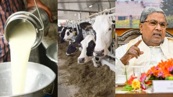 Nandini: ಕ್ರಿಕೆಟ್ ಪ್ರಾಯೋಜಕತ್ವಕ್ಕೆ ಹಣ ಕೊಡುವ ಸರ್ಕಾರದಿಂದ ಹೈನುಗಾರರಿಗೆ ಅನ್ಯಾಯ: ಬಿಜೆಪಿ