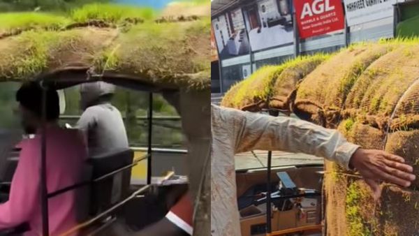 Video: ಬಿಸಿಲಿಗೆ ಕಂಗೆಟ್ಟು 'ಆಟೋ ರಿಕ್ಷಾ' ಮೇಲೆ ಹುಲ್ಲು ಬೆಳೆಸಿದ ಚಾಲಕ: ಜನರು ಫಿದಾ