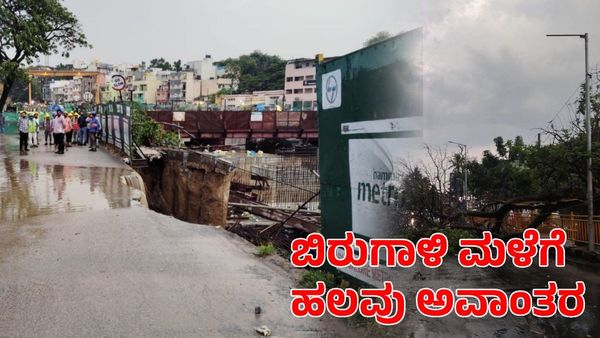 Bengaluru Rain: ಬಿರುಗಾಳಿ ಮಳೆಗೆ ಧರೆಗುರುಳಿದ ಮರಗಳು; ಮೆಟ್ರೋ ಕಾಮಗಾರಿಗೂ ಅಡ್ಡಿ