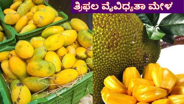 Mango Mela: ಬೆಂಗಳೂರಿನ ಹೆಸರಘಟ್ಟದಲ್ಲಿ 'ತ್ರಿಫಲ ವೈವಿಧ್ಯತಾ ಮೇಳ 2024'