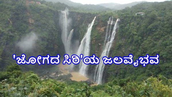 Jog Falls: ಭಾರೀ ಮಳೆಯಿಂದ ಮರುಳಿಸಿದ ವಿಶ್ವವಿಖ್ಯಾತ ಜೋಗ್ ಫಾಲ್ಸ್ ಸೌಂದರ್ಯ ಸವಿಯಬಯಸುವ ಪ್ರವಾಸಿಗರಿಗೆ ಗುಡ್‌ ನ್ಯೂಸ್‌