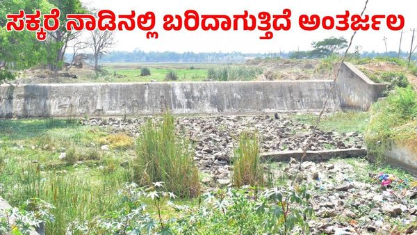 Ground Water: ಮಂಡ್ಯದಲ್ಲಿ ಏಳು ಅಡಿ ಕುಸಿದ ಅಂತರ್ಜಲ; ಆತಂಕದಲ್ಲಿ ರೈತರು