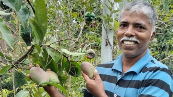 ಒಂದು ಹಣ್ಣಿಗೆ 10,000 ರೂ: ವಿದೇಶಿ ಮಾವು ಬೆಳೆದು ಯಶಸ್ಸು ಕಂಡ ಉಡುಪಿ ಕೃಷಿಕ