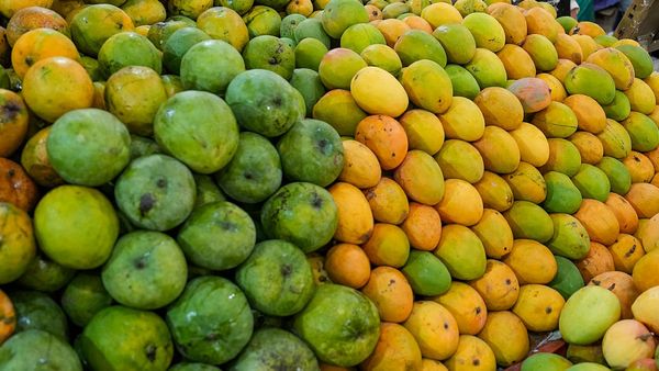 ಧಾರವಾಡ; ಮೇ 14 ರಿಂದ ಮಾವು ಪ್ರದರ್ಶನ, ಮಾರಾಟ ಮೇಳ