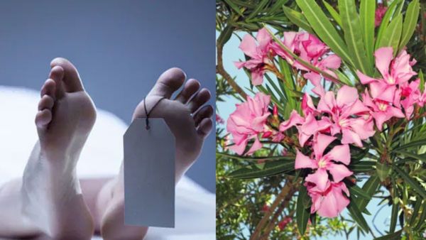 ಯುಕೆಗೆ ಹೋಗಬೇಕಿದ್ದ ಯುವತಿ ಕಣಗಿಲೆ ಹೂ ತಿಂದು ಸೇರಿದ್ದು ಮಸಣಕ್ಕೆ