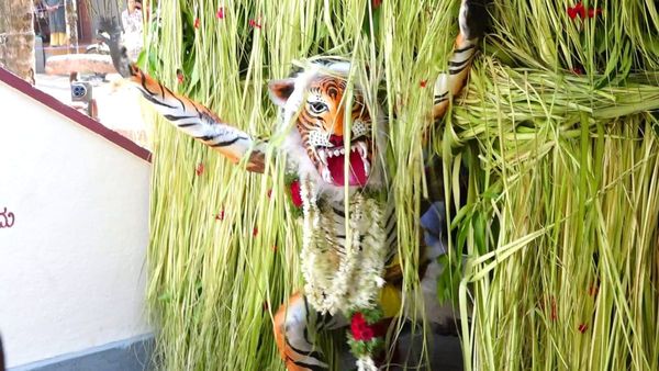 Daiva Kola: ಅಬ್ಬರಿಸುವ ಕರಾವಳಿಯ ಪಿಲಿಕೋಲದ ಬಗ್ಗೆ ನಿಮಗೆಷ್ಟು ಗೊತ್ತು?