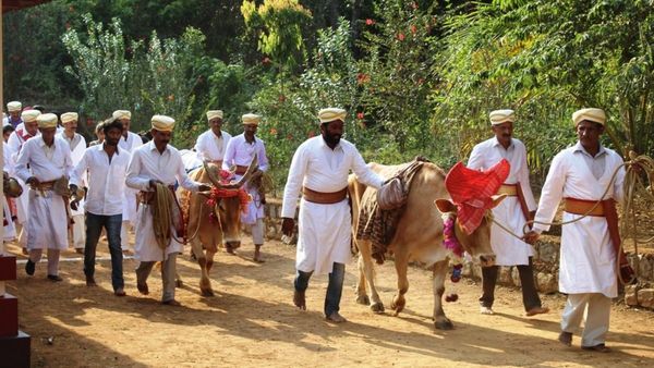 ಕೊಡಗಿನಲ್ಲಷ್ಟೆ ನಡೆಯುವ ಪೊವ್ವೋದಿ ಉತ್ಸವದ ಬಗ್ಗೆ ನಿಮಗೆ ಗೊತ್ತಾ?