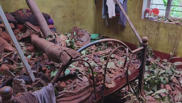 Chikmagalur Rain: ಚಿಕ್ಕಮಗಳೂರಿನಲ್ಲಿ ಮಳೆ ಅವಾಂತರ, ಮರ ಬಿದ್ದು ಮನೆ ಸಂಪೂರ್ಣ ನಾಶ