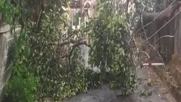 Rain: ರಾಜ್ಯದ ಹಲವೆಡೆ ಅಬ್ಬರಿಸಿದ ವರುಣ, ಉಡುಪಿಯಲ್ಲಿ ಸಿಡಿಲು ಬಡಿದು ಯುವಕ ಸಾವು