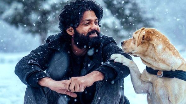 Rakshit Shetty: ಮೈಸೂರಿನಿಂದ ದಿಢೀರ್ ಆಗಿ ಲೈವ್ ಬಂದ ರಕ್ಷಿತ್ ಶೆಟ್ಟಿ; ಕಾರಣವೇನು?