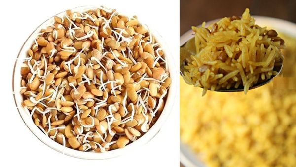 Sprouts Horse Gram Pulao Recipe: ಮೊಳಕೆ ಹುರುಳಿಕಾಳು ಪಲಾವ್ ಮಾಡುವ ವಿಧಾನ: ತಿನ್ನಲು ರುಚಿ ಆರೋಗ್ಯಕ್ಕೆ ಶಕ್ತಿ