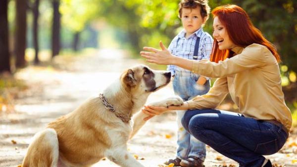 Summer Pet Care: ಬೇಸಿಗೆಯಲ್ಲಿ ಸಾಕುಪ್ರಾಣಿಗಳನ್ನು ಹೇಗೆ ಕಾಳಜಿ ವಹಿಸುವುದು? ಇಲ್ಲಿದೆ ಟಿಪ್ಸ್..!