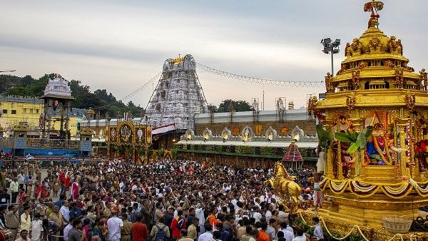 Tirupati Tirumala: ತಿರುಮಲದಲ್ಲಿ ಮತ್ತೆ ನೂಕುನುಗ್ಗಲು- ಉದ್ದನೆ ಸರತಿ ಸಾಲಿನಲ್ಲಿ ಕಾಡು ಪ್ರಾಣಿಗಳ ಭೀತಿ!