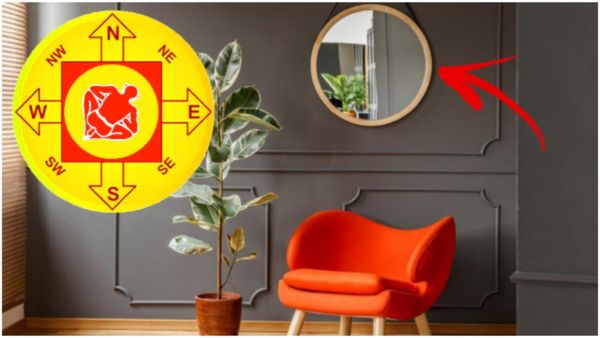 Vastu Tips for Mirror: ಮನೆಯಲ್ಲಿ ಯಾವ ದಿಕ್ಕಿಗೆ ಕನ್ನಡಿ ಇಟ್ಟರೆ ಧನಾತ್ಮಕ ಶಕ್ತಿ ದೂರವಾಗುತ್ತೆ