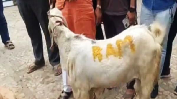 Bakrid: ಬಕ್ರೀದ್‌ಗೆ ಬಲಿ ಕೊಡುವ ಕುರಿ ಮೇಲೆ ರಾಮನ ಹೆಸರು- ಮಟನ್ ಅಂಗಡಿ ಮಾಲೀಕ ಬಂಧನ