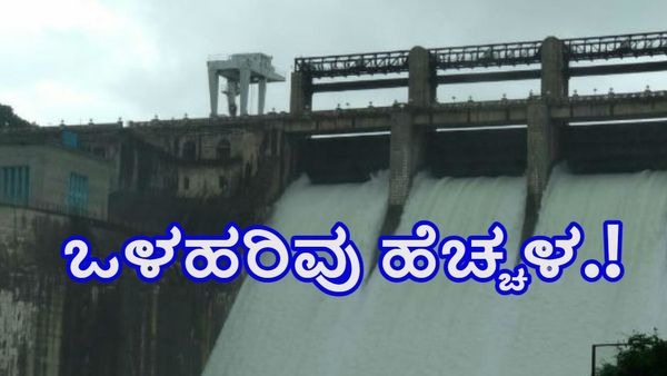 Bhadra Dam: ಮುಂದುವರೆದ ಮುಂಗಾರು ಆರ್ಭಟ: ಭದ್ರಾ ಜಲಾಶಯದ ಒಳಹರಿವು ಮತ್ತೆ ಹೆಚ್ಚಳ