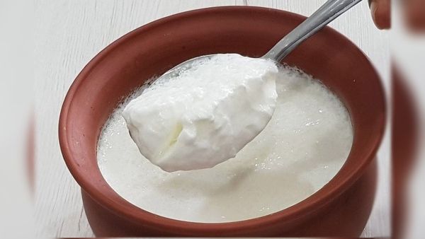 1 Cup Curd: ಒಂದು ಕಪ್‌ ಮೊಸರನ್ನು ತಿನ್ನುವುದರಿಂದ ಆಗುವ ಲಾಭವೇನು? ಯಾವಾಗ ತಿನ್ನಬೇಕು?