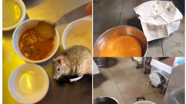 Video Viral: ಸಾಂಬಾರ್‌ನಲ್ಲಿ ಸಿಕ್ಕಿದ್ದನ್ನು ನೋಡಿ ತಬ್ಬಿಬ್ಬಾದ ಗ್ರಾಹಕ, ನೆಟ್ಟಿಗರಿಂದ ವ್ಯಾಪಕ ಆಕ್ರೋಶ