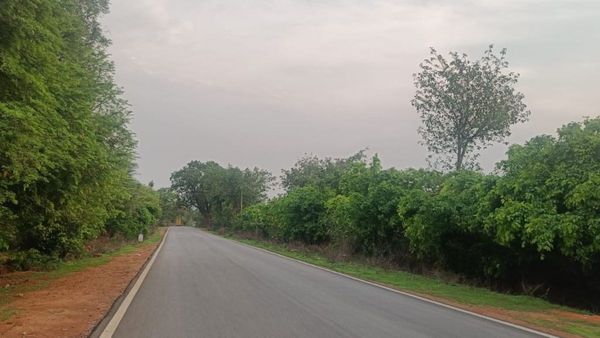 Deemed forest: ರೈತರಿಗೆ ಸಂಕಷ್ಟ ತಂದೊಡ್ಡಿದ ಡೀಮ್ಡ್ ಫಾರೆಸ್ಟ್- ಬರೋಬ್ಬರಿ 50 ಸಾವಿರ ಎಕರೆ ಪ್ರದೇಶಕ್ಕೆ ಕಂಟಕ