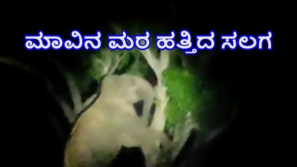 ಚಾಮರಾಜನಗರ: 