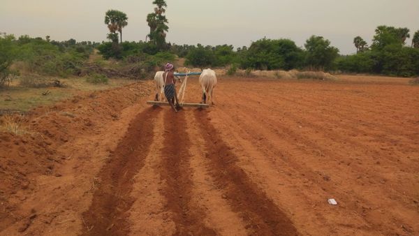 ರೈತರಿಗೆ ಸಂಪೂರ್ಣ ನೆರವಿನ ಭರವಸೆ ಕೊಟ್ಟ ಉತ್ತರ ಕನ್ನಡ ಜಿಲ್ಲಾಡಳಿತ