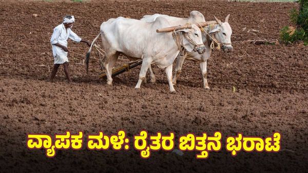 ಧಾರವಾಡದಲ್ಲಿ 40% ಬಿತ್ತನೆ: ಬಾಕಿ ಬಿತ್ತನೆಯಲ್ಲಿ ಯಾವ ಬೆಳೆಗೆ ರೈತರು ಆದ್ಯತೆ ನೀಡಲಿದ್ದಾರೆ?