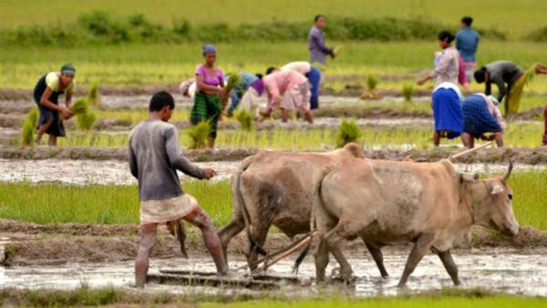 ರಾಜ್ಯದ ರೈತರಿಗೆ ಸಿಹಿಸುದ್ದಿ-ಏನದು? ಇಲ್ಲಿದೆ ಮಾಹಿತಿ