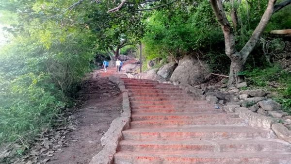 ಮಲೆನಾಡಿನ ಅನುಭವ ಈಗ ಚಾಮುಂಡಿ ಬೆಟ್ಟದಲ್ಲಿಯೇ ಲಭ್ಯ:ಹೇಗೆ ಗೊತ್ತಾ?