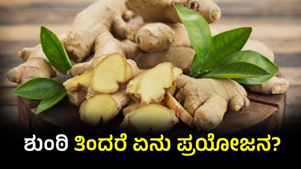 Ginger: ಬೆಳಗ್ಗೆ ಖಾಲಿ ಹೊಟ್ಟೆಯಲ್ಲಿ ಶುಂಠಿ ತಿಂದರೆ ಏನು ಪ್ರಯೋಜನ? ಯಾರು ತಿಂದರೆ ಹೆಚ್ಚಿನ ಲಾಭ