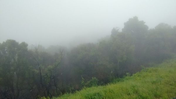 Weekend Travel: ಹಿಮಮಳೆಗೆ ಮೈಯೊಡ್ಡಲು ಹಿಮವದ್ ಗೋಪಾಲಸ್ವಾಮಿ ಬೆಟ್ಟಕ್ಕೆ ಭೇಟಿ ನೀಡಿ