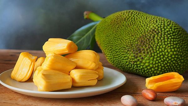 Jackfruit: ಮಲೆನಾಡಿನ ವಿಶಿಷ್ಟ ಹಲಸಿನ ತಳಿಗೆ ಸಿಕ್ಕಿತು ಮಾನ್ಯತೆ