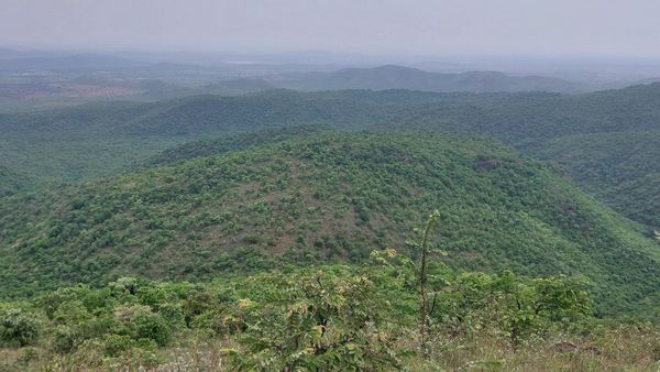 ಕಪ್ಪತಗುಡ್ಡದ ಸುತ್ತ ಗಣಿಗಾರಿಕೆ ನಿಷೇಧ ಸರಿ ಇದೆ: ಹೈಕೋರ್ಟ್