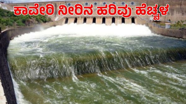 Kaveri River: ಕಾವೇರಿ ಜಲಾನಯನ ಪ್ರದೇಶದಲ್ಲಿ ವ್ಯಾಪಕ ಮಳೆ; ಮೆಟ್ಟೂರು ಜಲಾಶಯದ ಒಳಹರಿವು ಎಷ್ಟಿದೆ?