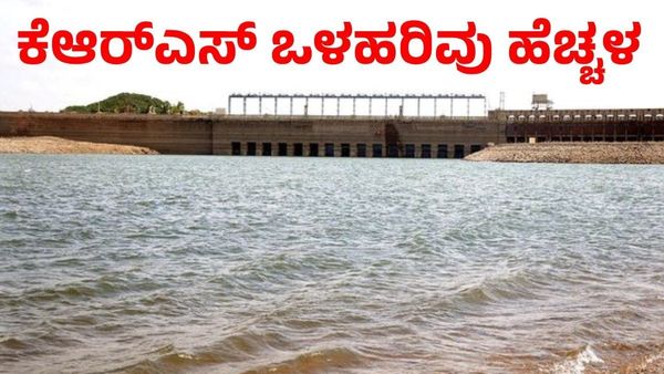 KRS Dam: ಭಾರೀ ಮಳೆಗೆ ಜಲಾಶಯದ ಒಳ ಹರಿವು ಹೆಚ್ಚಳ, KRS ಉದ್ಯಾನಕ್ಕೆ ಬಂತು ಕಳೆ