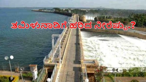 KRS Dam: 2023ರಿಂದ ಇಲ್ಲಿವರೆಗೂ ಕಾವೇರಿಯಿಂದ ತಮಿಳುನಾಡಿಗೆ ಹರಿದ ನೀರೆಷ್ಟು?-ಅಂಕಿಅಂಶಗಳ ವಿವರ ತಿಳಿಯಿರಿ