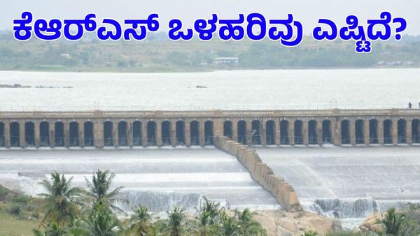 KRS Dam: ವ್ಯಾಪಕ ಮಳೆ; ಕೆಆರ್‌ಎಸ್‌ ಜಲಾಶಯದ ಒಳಹರಿವು ಹೆಚ್ಚಳ