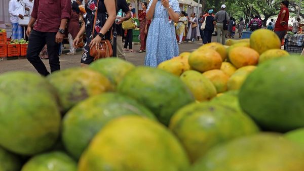 Mango Mela: ಲಾಲ್‌ಬಾಗ್‌ ಮಾವು ಮೇಳ; ರೈತರು ಮಾರಿದ್ದು ಒಂದಲ್ಲ, ಎರಡಲ್ಲ ಎಷ್ಟು ಟನ್ ಹಣ್ಣು ಗೊತ್ತಾ?